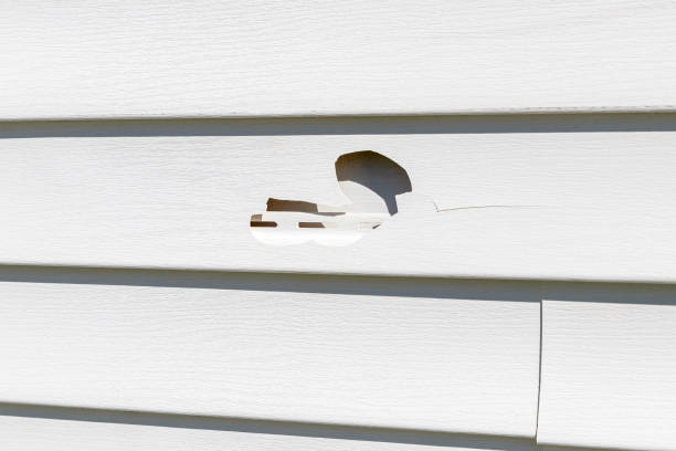 Best Property Management Cleanouts  in Mattituck, NY